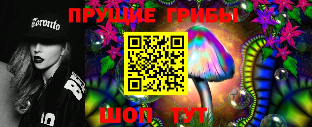 Псилоцибиновые грибы прущие грибы  закладка  Кореновск  Вход с VPN 